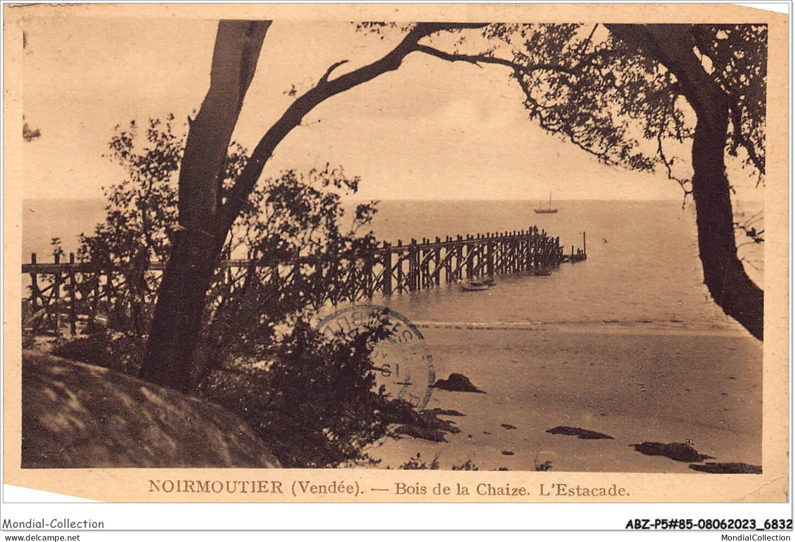 ABZP5-85-0363 - ILE NOIRMOUTIER -  Le Bois De La Chaize - Ile De Noirmoutier