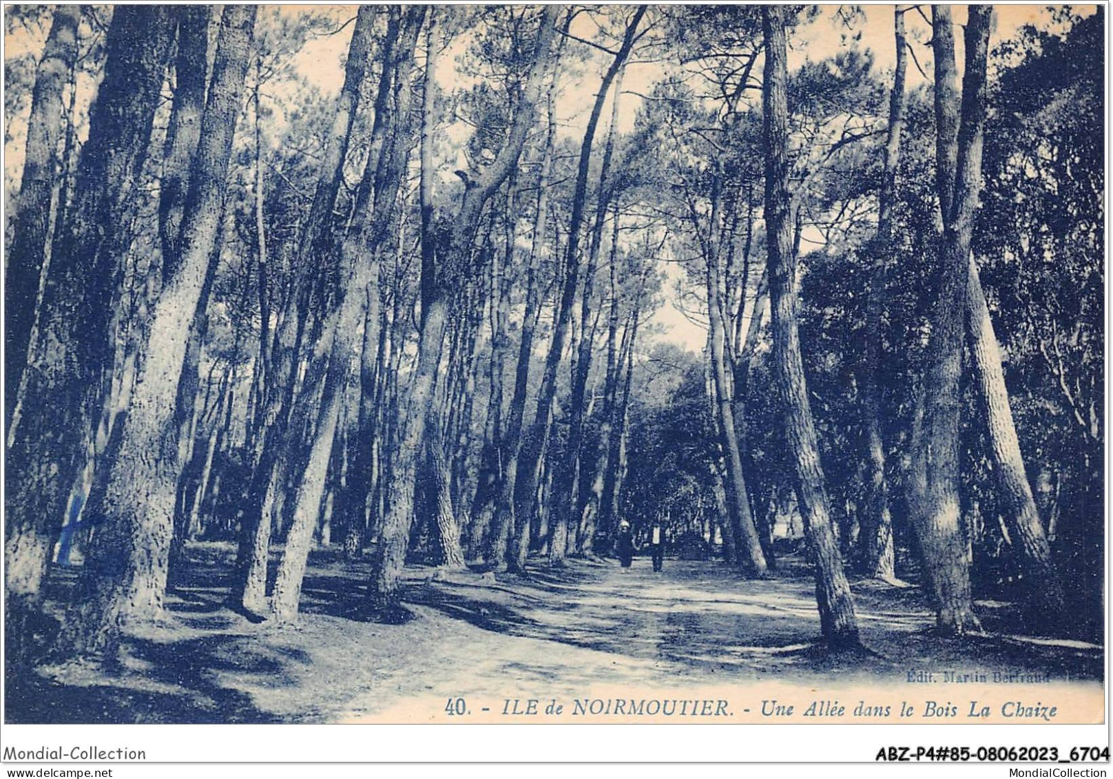 ABZP4-85-0299 - ILE DE NOIRMOUTIER - Une Allée Dans Le Bois  - Ile De Noirmoutier