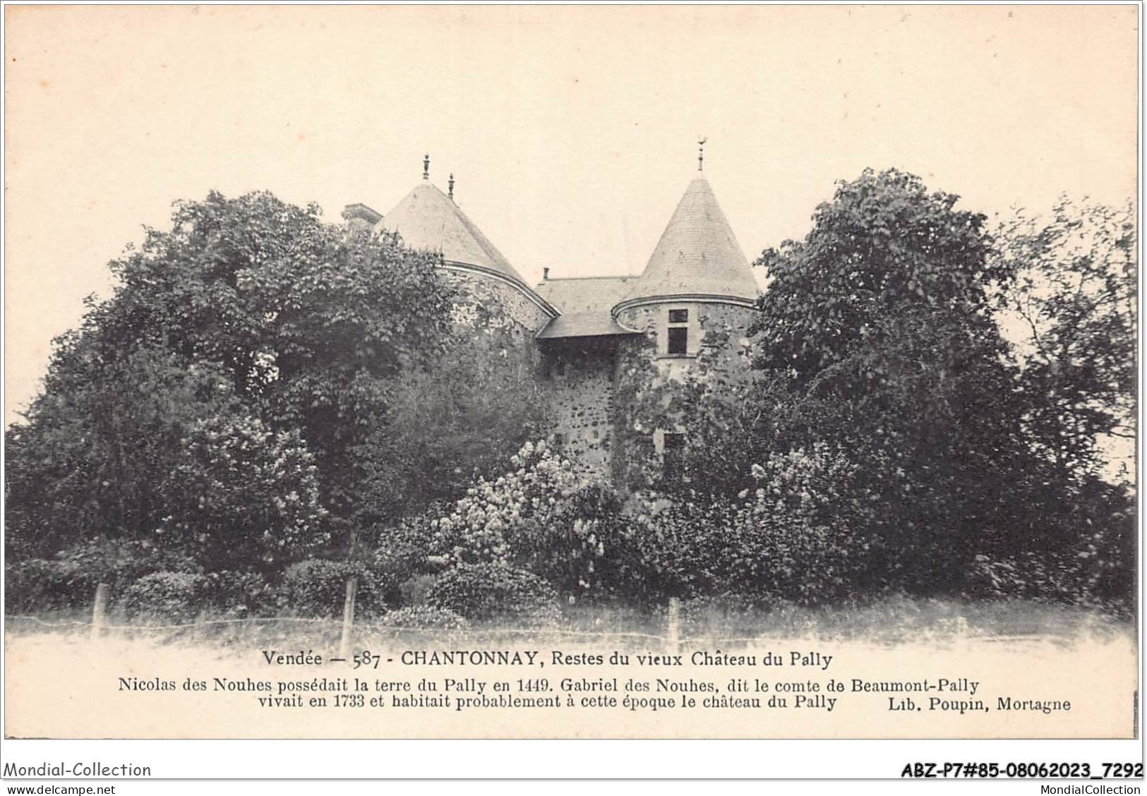 ABZP7-85-0594 - CHANTONNAY - Reste Du Vieux Chateau  - Chantonnay