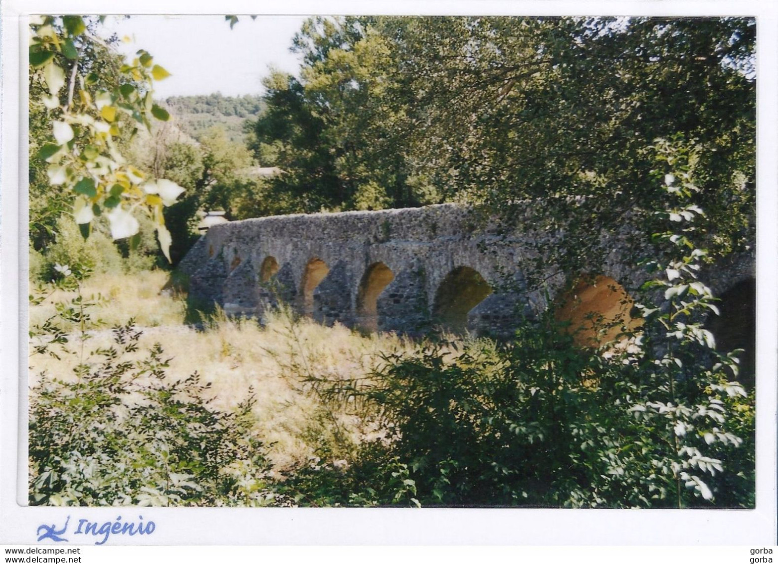 *CPM Préaffranchie - Photo D'un Pont En Pleine Nature - édition La Poste - (timbre 3065 YT) - Photographie