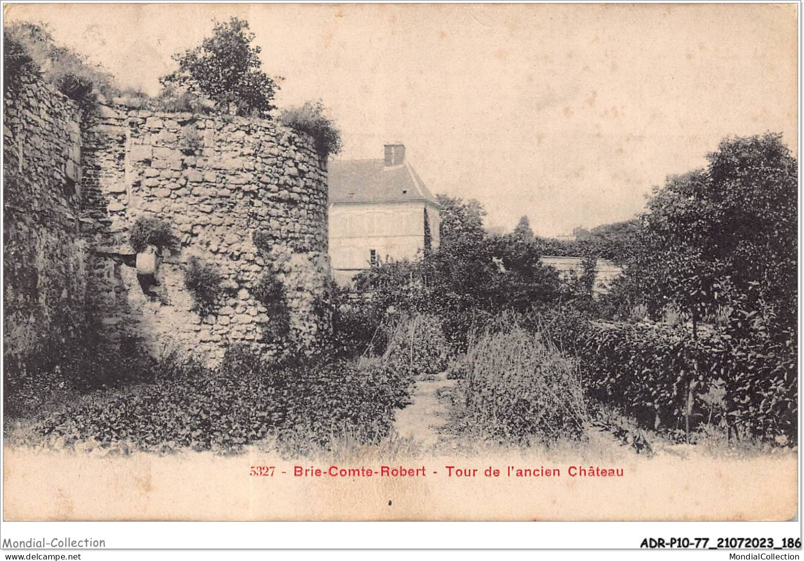 ADRP10-77-0966 - BRIE-COMTE-ROBERT - Tour De L'ancien Château - Brie Comte Robert