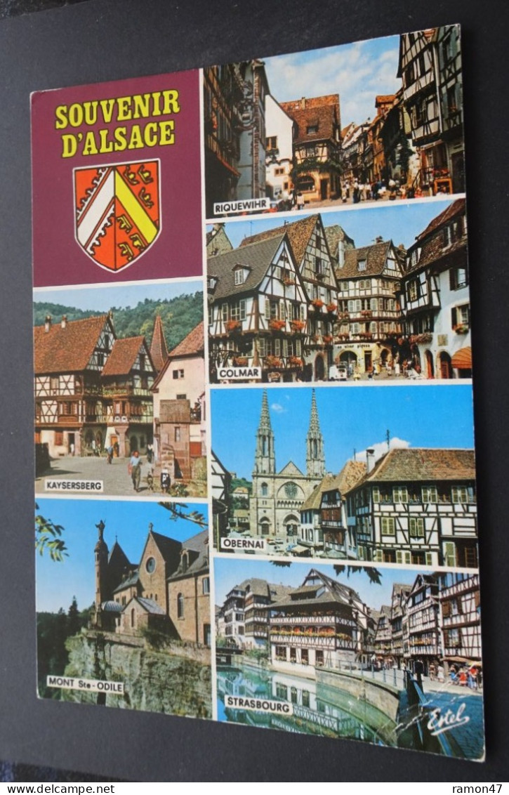 Souvenir D'Alsace - Au Pays Des Cigognes - Production Leconte - Editions ESTEL - Alsace