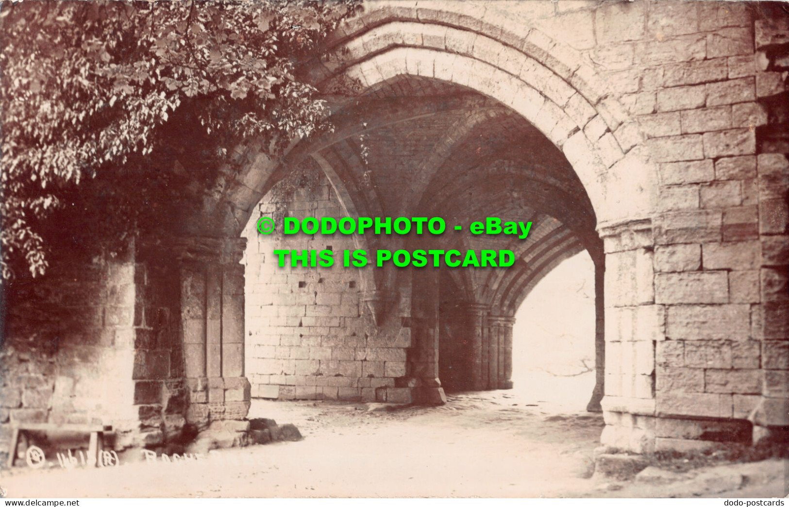 R507651 Roche Abbey. Postcard - World