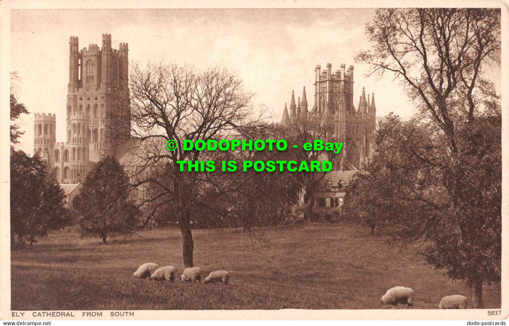 R507662 Ely Cathedral. From South. Photochrom. Postcard - World