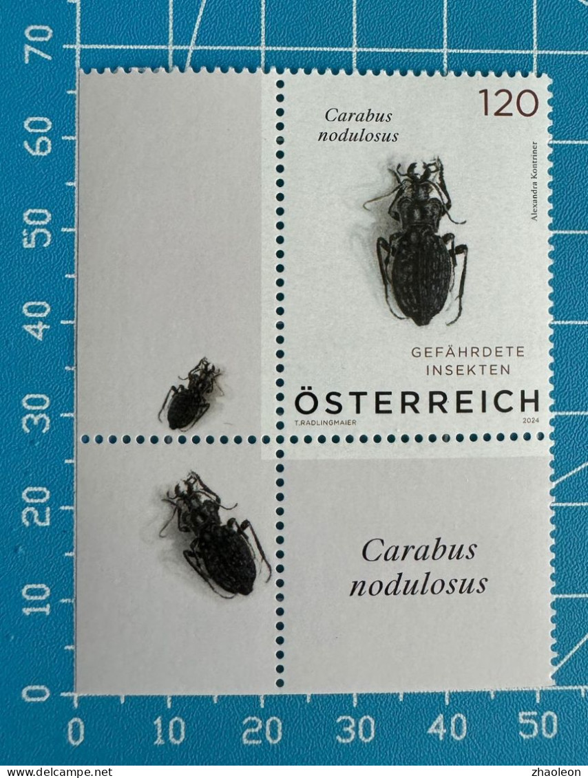 Käfer – Carabus Nodulosus/ Beetle Austria - Unused Stamps