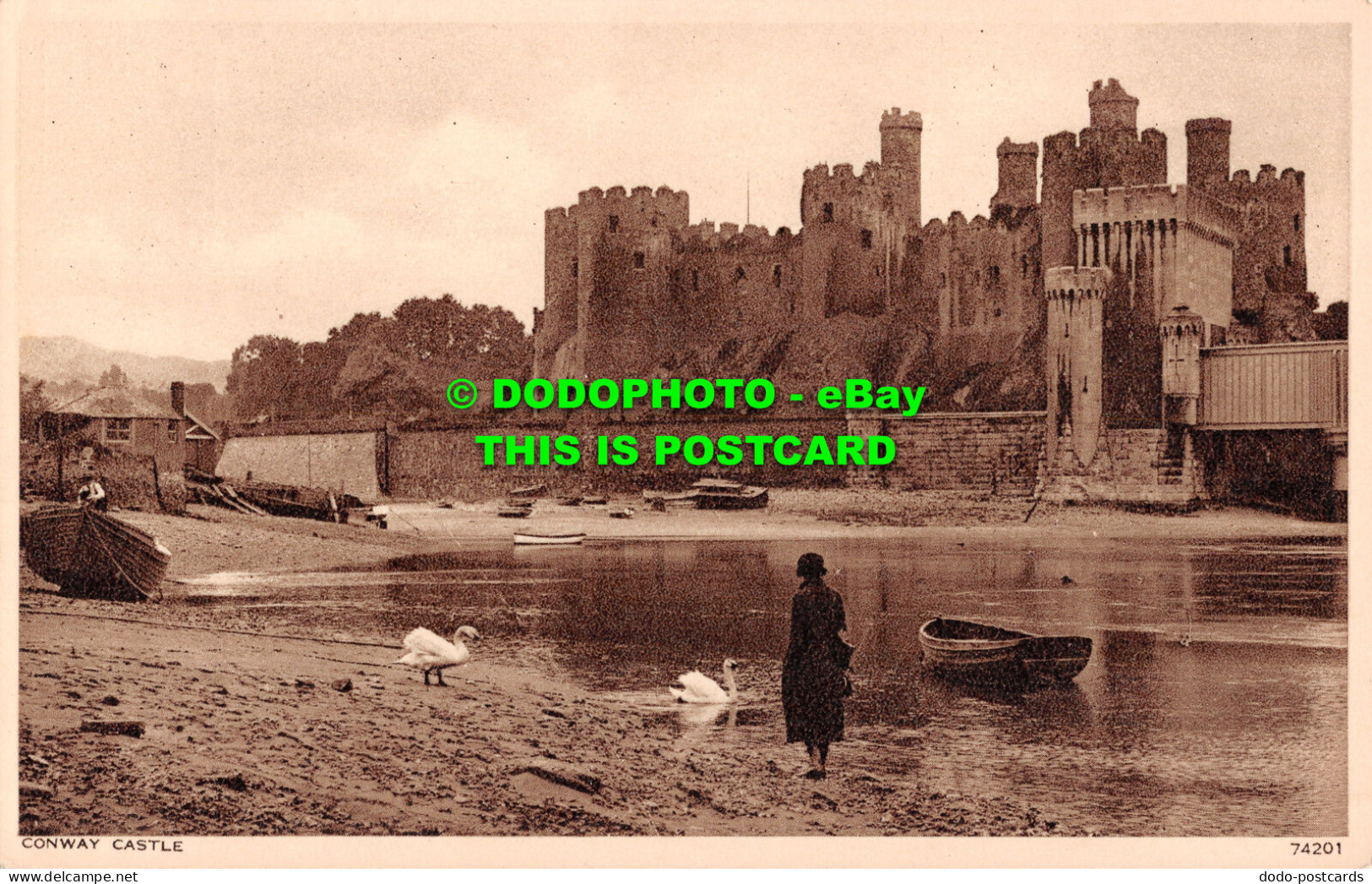 R507667 Conway Castle. Photochrom. Postcard - World