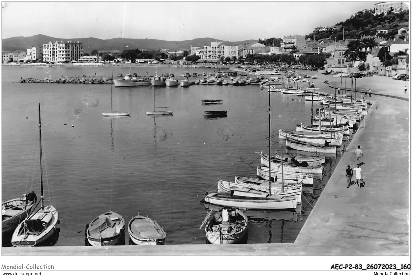 AECP2-83-0178 - LE-LAVANDOU - Le Port  - Le Lavandou