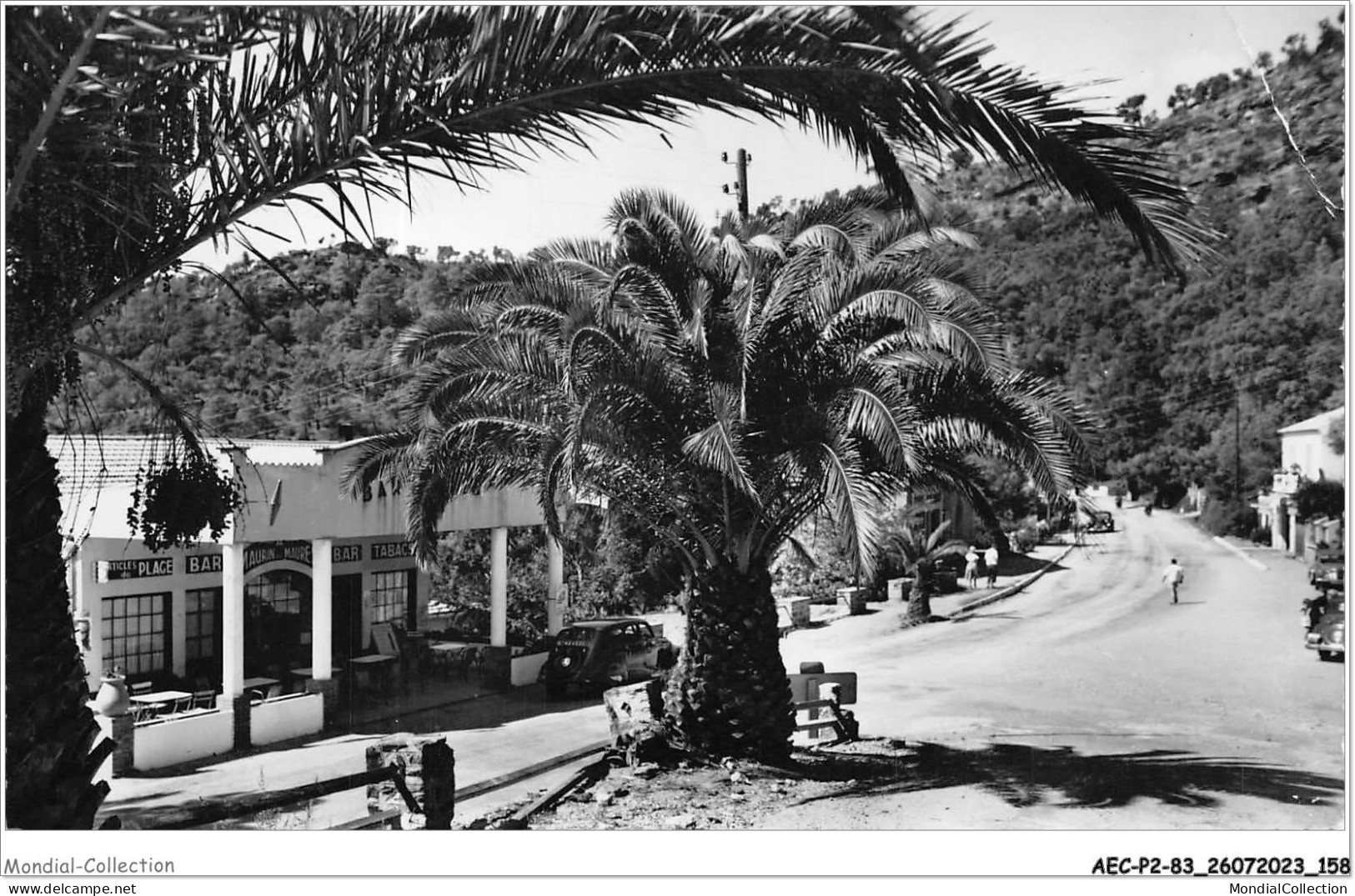 AECP2-83-0177 - LE-RAYOL-CANADEL-SUR-MER - Route National  - Rayol-Canadel-sur-Mer