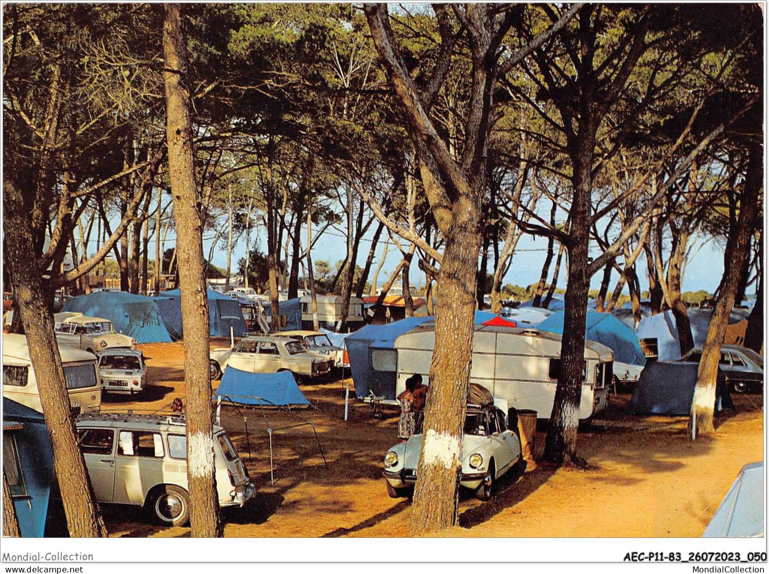 AECP11-83-0862- LA-CAPTE-D'HYERES - Soleil Et Pinède - Le Camping  - Hyeres