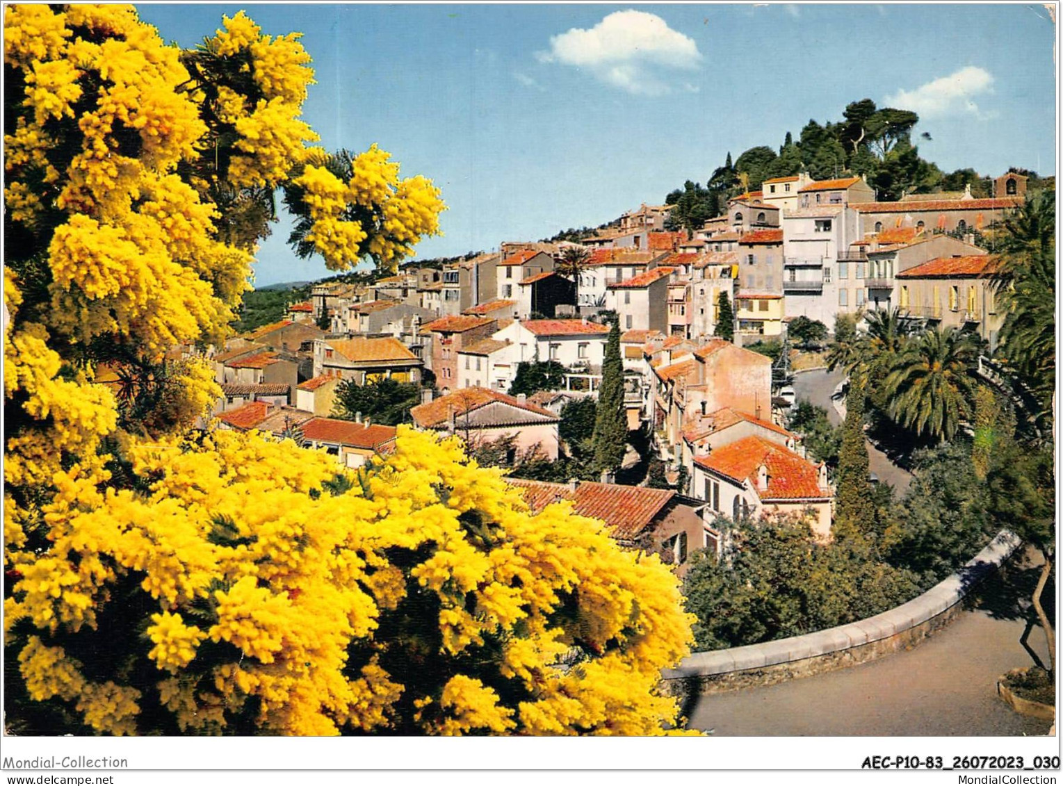 AECP10-83-0793- BORMES-LES-MIMOSAS - Vue Générale Du Vieux Village  - Bormes-les-Mimosas