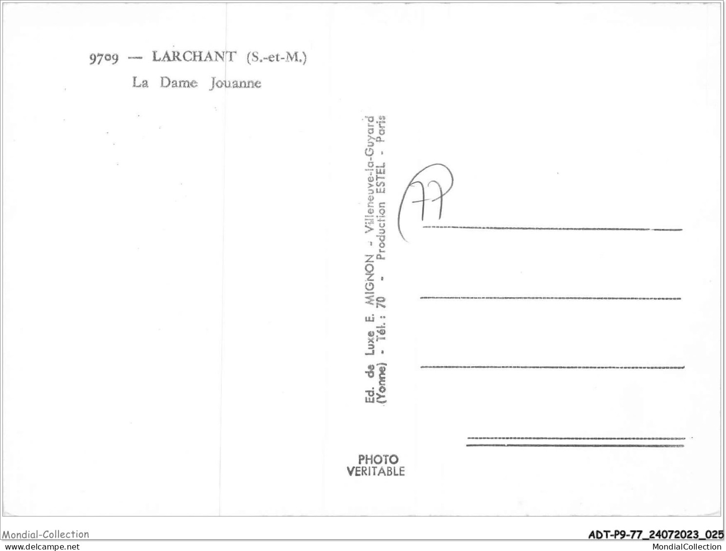 ADTP9-77-0755 - LARCHANT - La Dame Jouanne  - Larchant