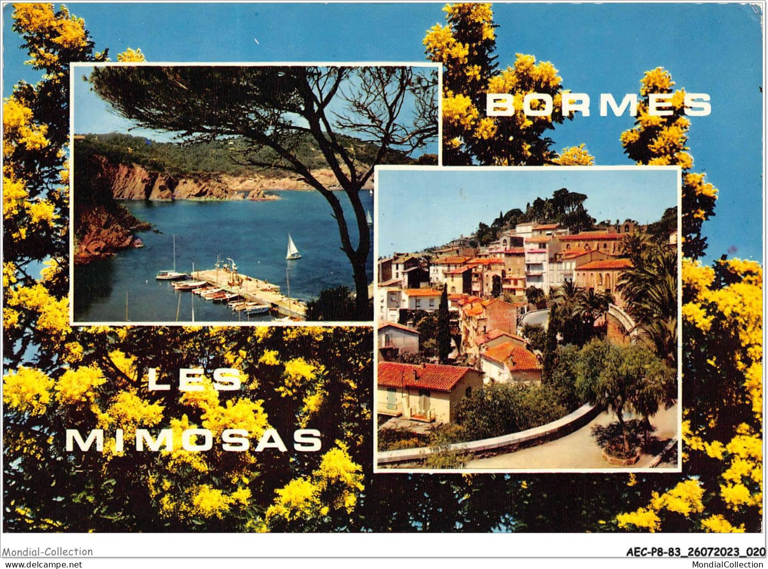 AECP8-83-0640- BORMES-LES-MiMOSAS - Le Cap Bénat - Vue Générale  - Bormes-les-Mimosas