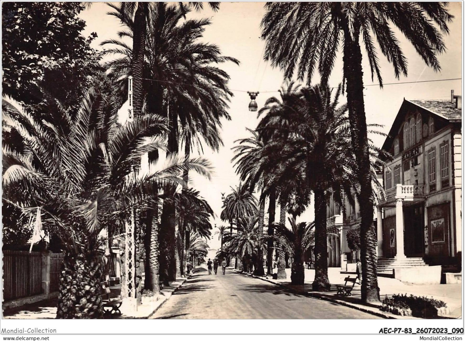 AECP7-83-0611- HYERES-LES-PALMIERS- Avenue De Belgique  - Hyeres