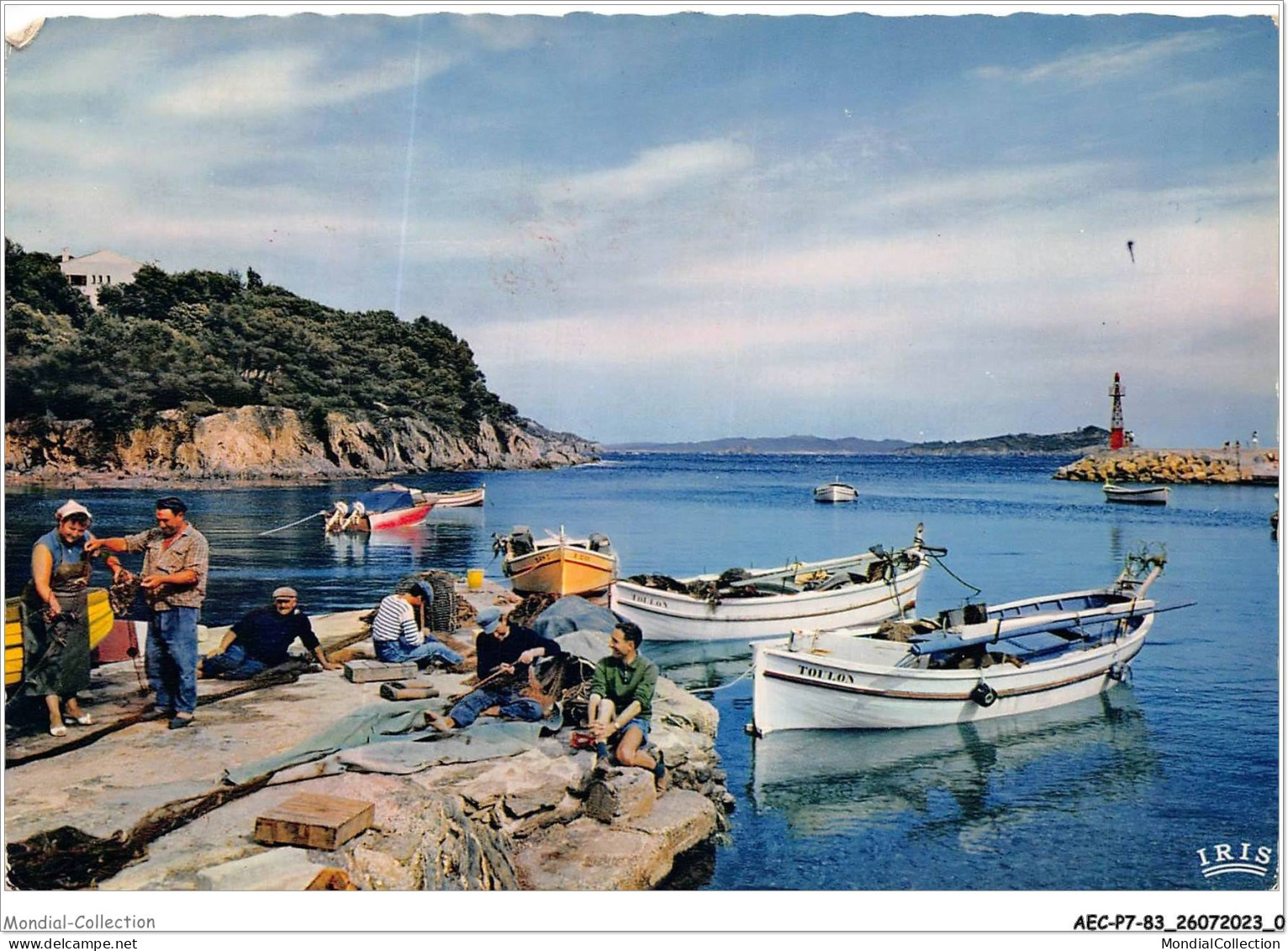 AECP7-83-0566- SANARY - La Pêche En Mediterranée - Retour De Pêche  - Sanary-sur-Mer