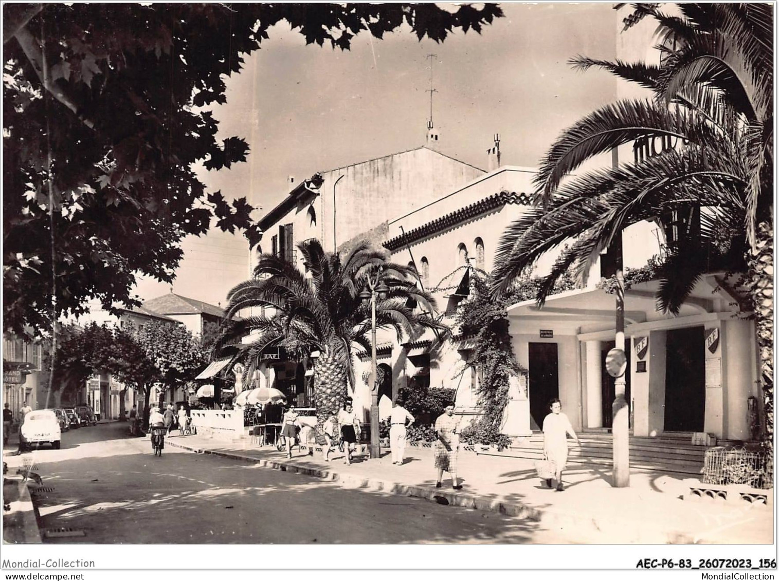 AECP6-83-0559- LE-LAVANDOU - Place De La Mairie  - Le Lavandou