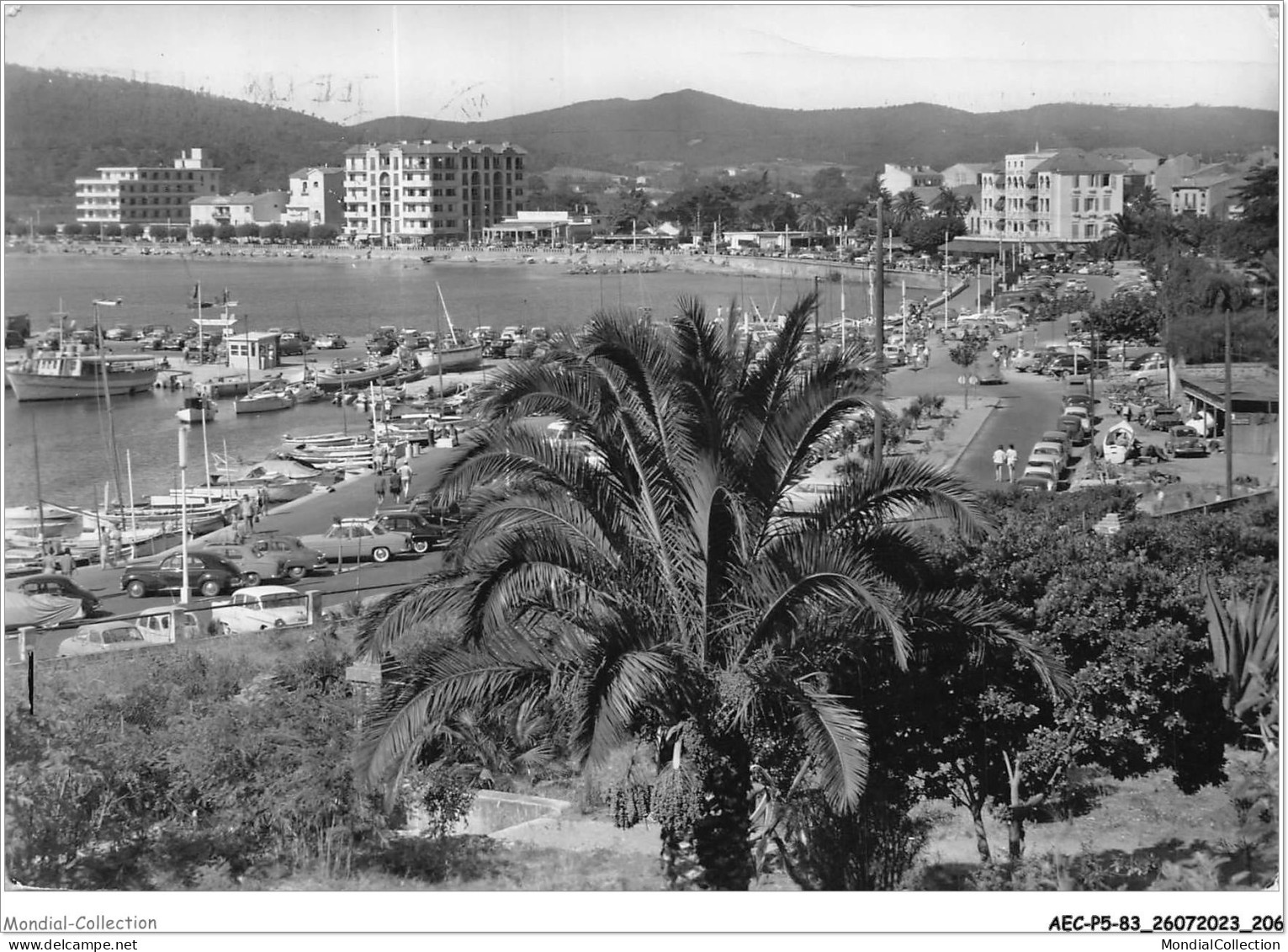 AECP5-83-0475- LE-LAVANDOU - Vue Générale  - Le Lavandou