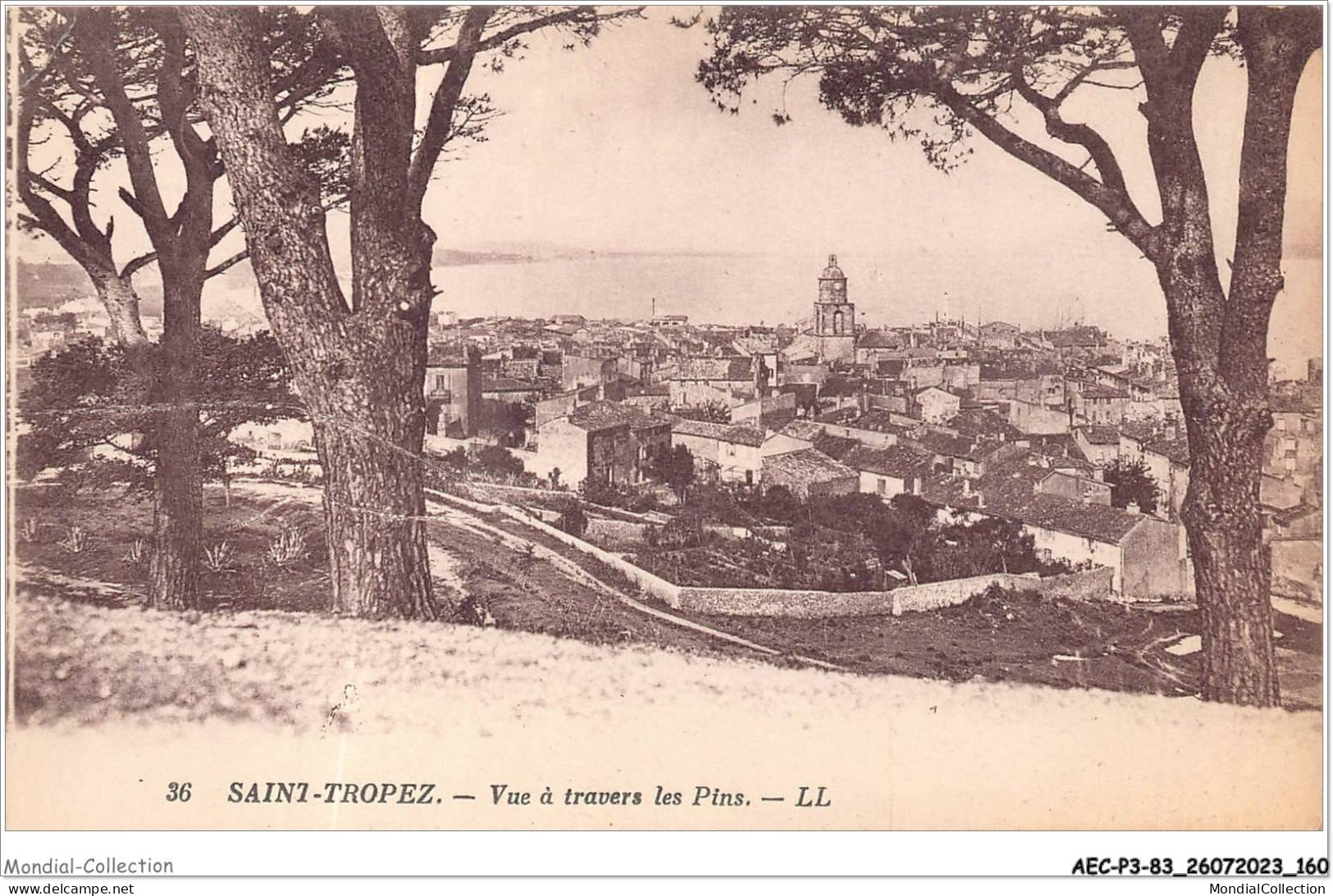 AECP3-83-0270- SAINT-TROPEZ - Vue à Travers Les Pins  - Saint-Tropez