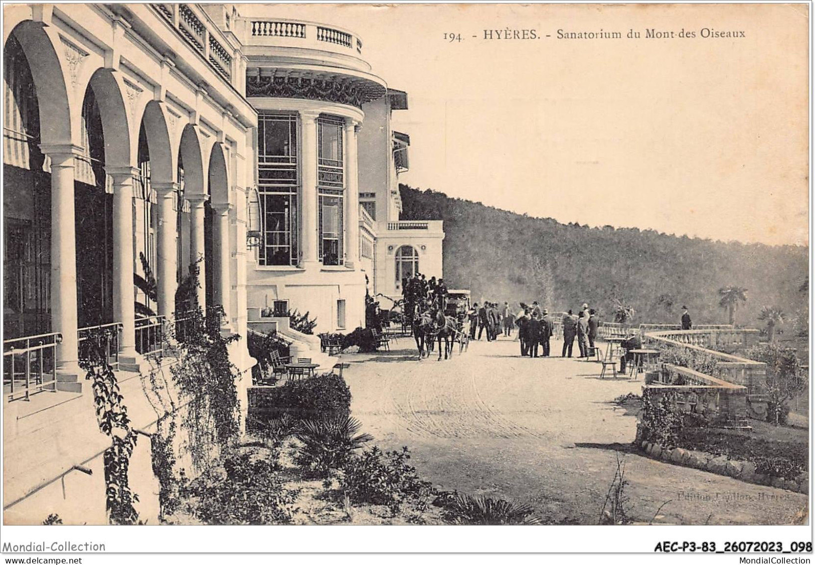 AECP3-83-0239- HYERES - Sanatorium Du Mont Des Oiseaux  - Hyeres