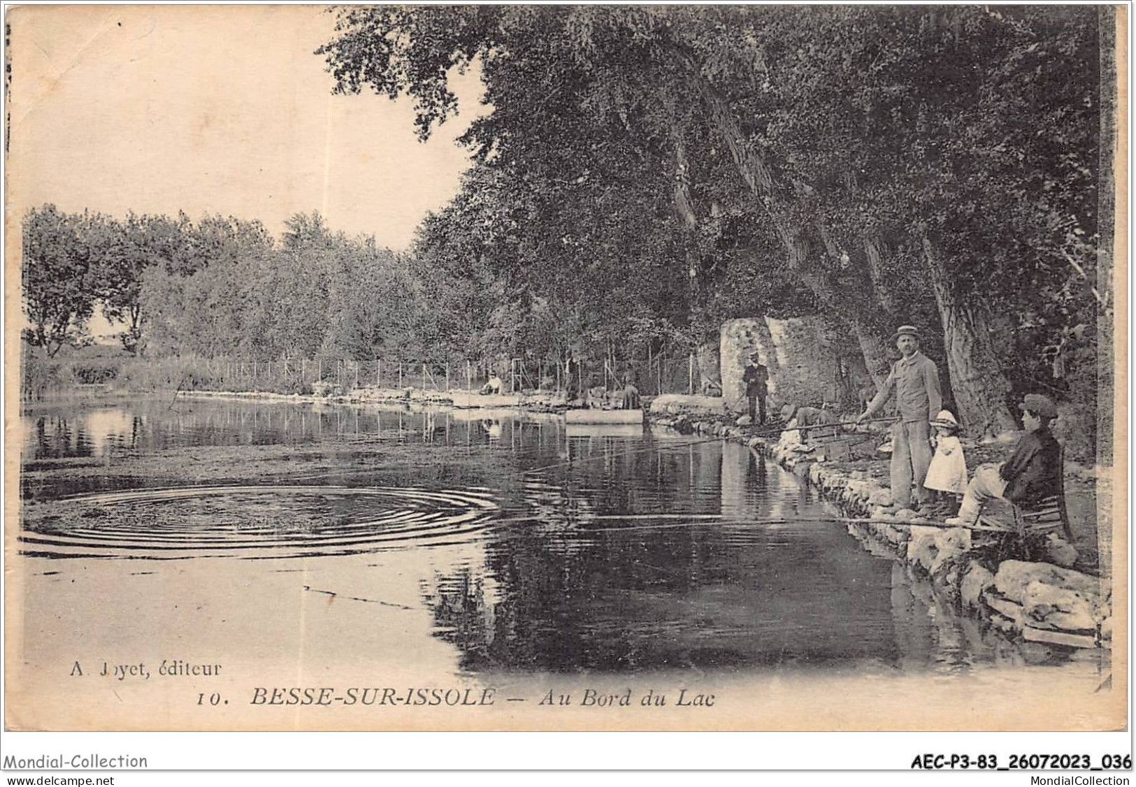 AECP3-83-0208- BESSE-SUR-ISSOLE - Au Bord Du Lac  - Besse-sur-Issole