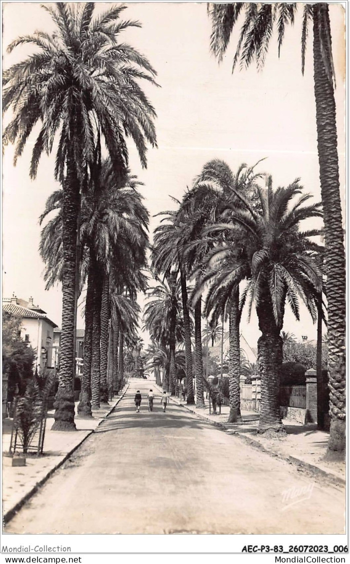 AECP3-83-0193- HYERES - Avenue Beauregard  - Hyeres