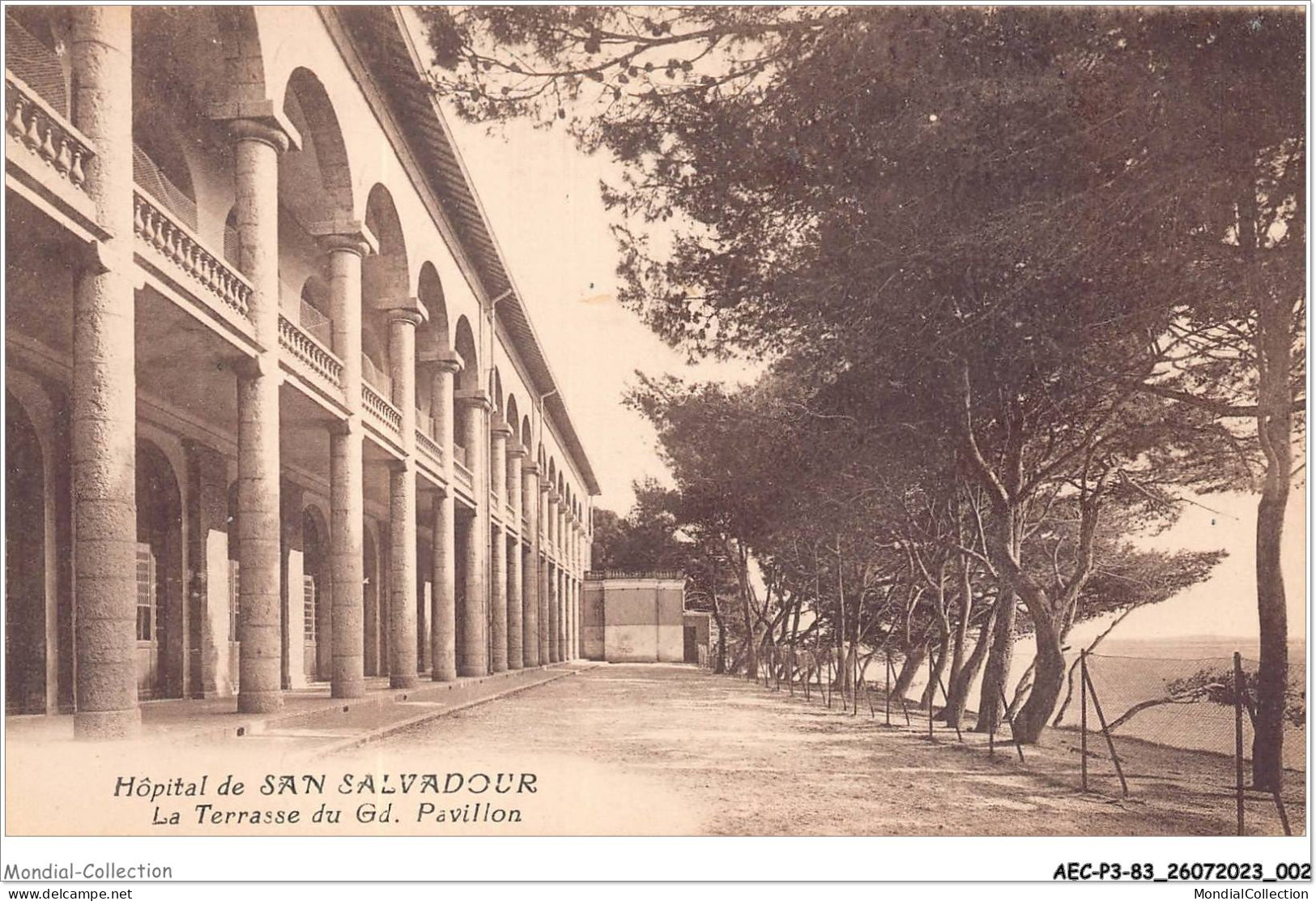 AECP3-83-0191- Hôpital De SAN-SALVADOUR - La Terrasse Du Gd-pavillon  - Hyeres