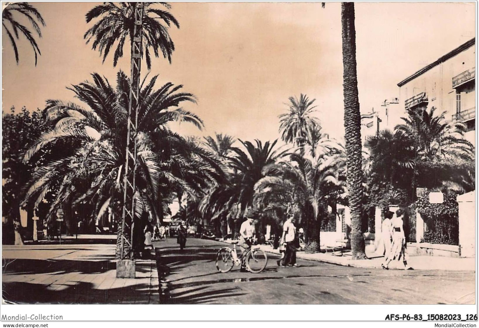 AFSP6-83-0475 - HYERES - Avenue De Belgique  - Hyeres