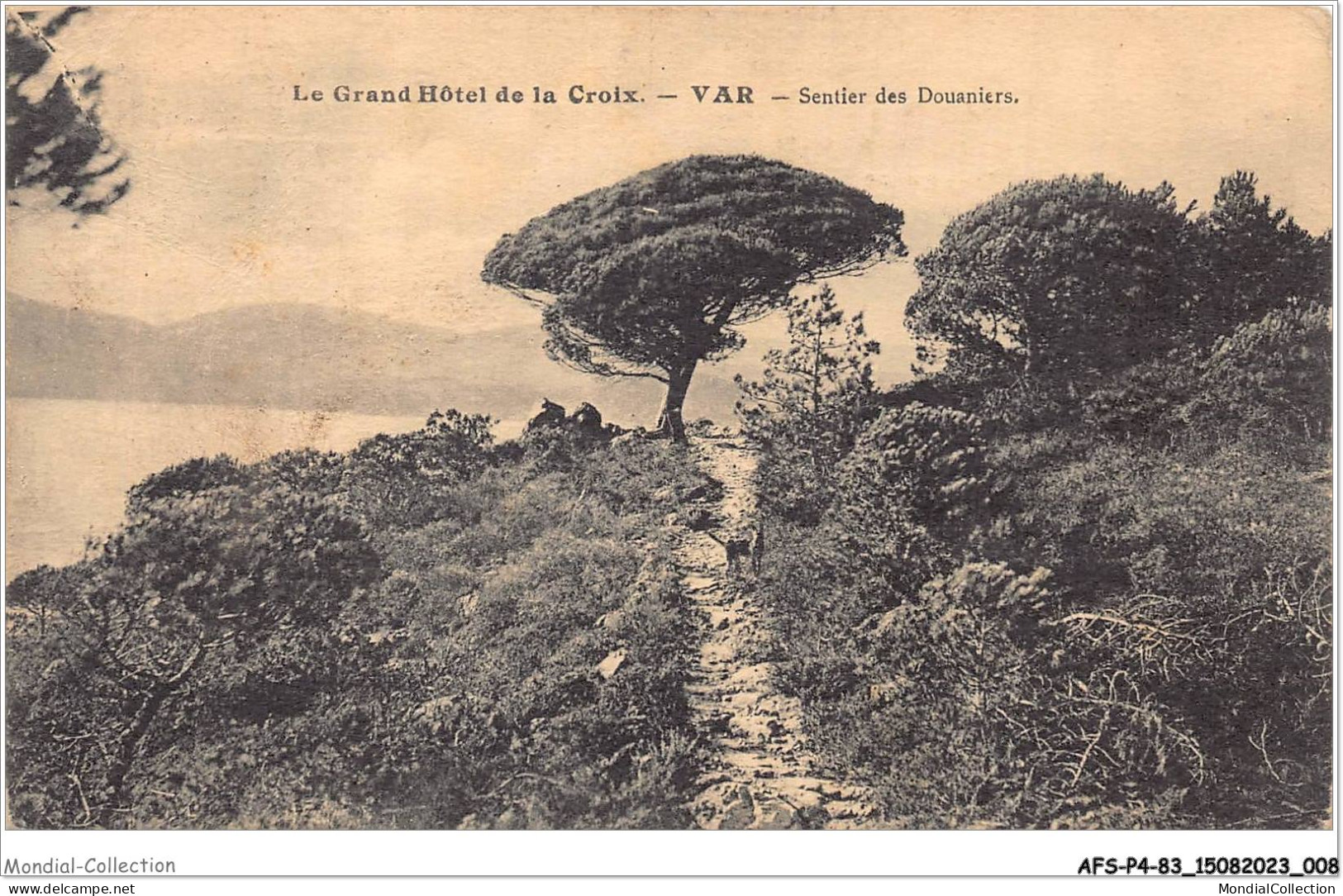 AFSP4-83-0231 - Le Grand Hôtel De La Croix - Sentier Des Douaniers  - Draguignan