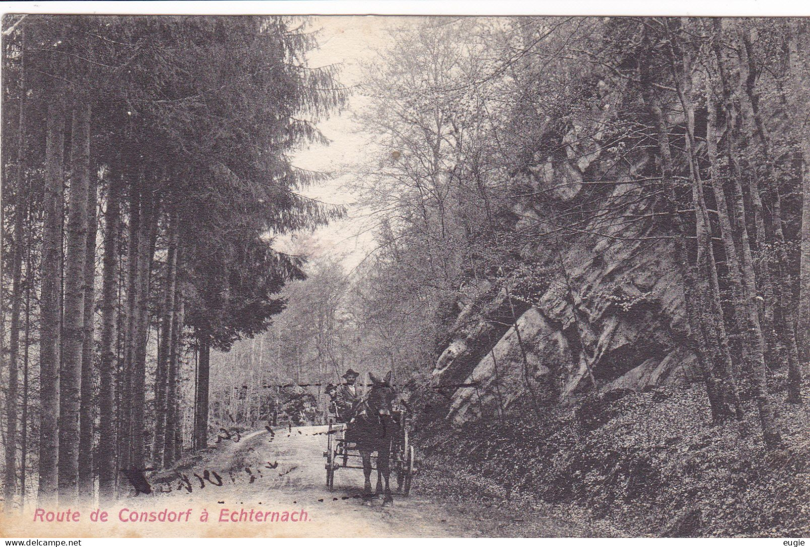 3359/ Route De Consdorf A Echternach, Paard En Wagen, 1908 - Echternach