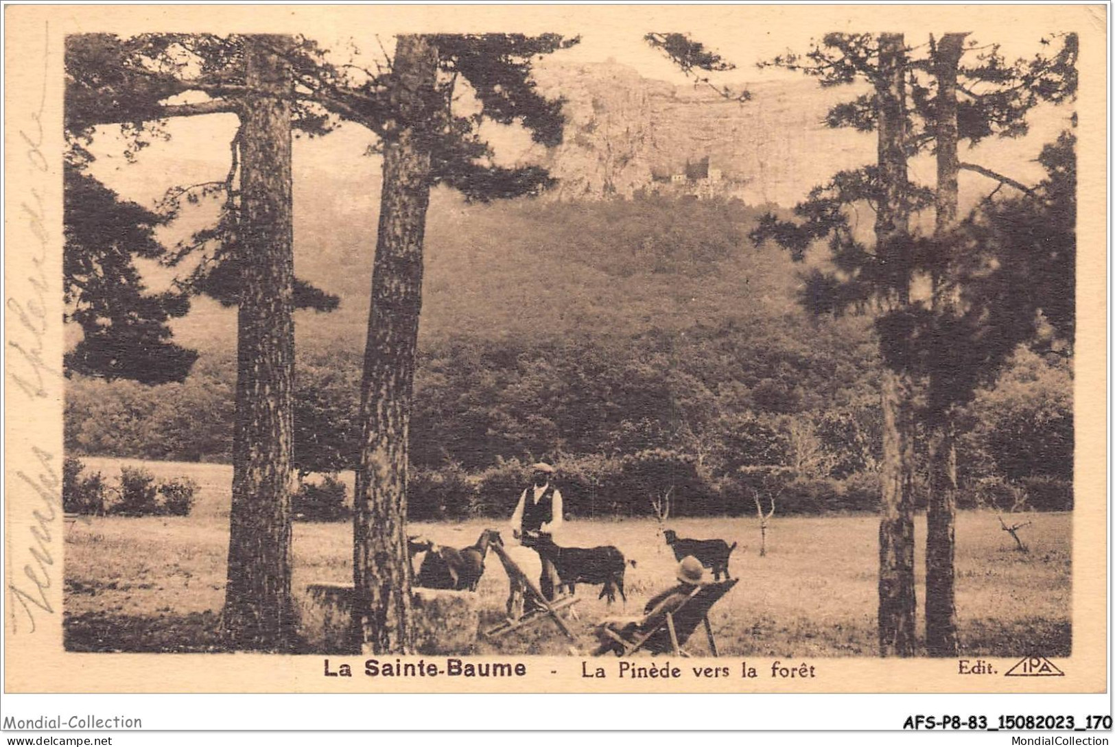 AFSP8-83-0688 - LA SAINTE-BAUME - La Pinède Vers La Forêt  - Saint-Maximin-la-Sainte-Baume