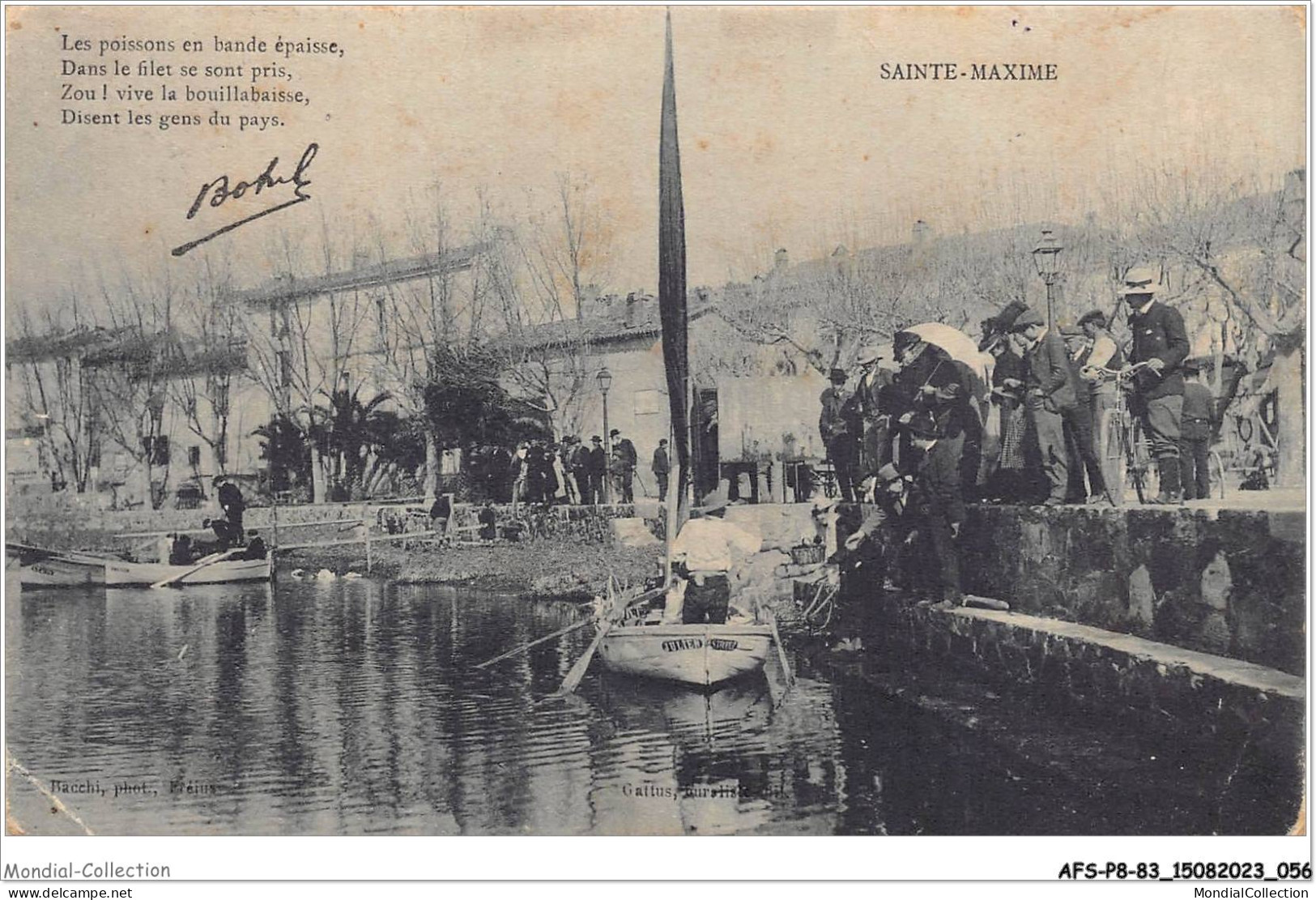 AFSP8-83-0630 - SAINTE-MAXIME - Les Poissons En Bande épaisse  - Sainte-Maxime