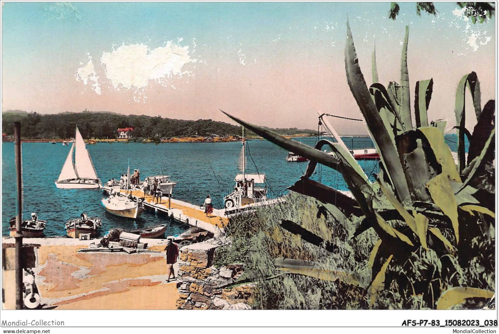 AFSP7-83-0523 - ILE  DE PORQUEROLLES - Débaracadère  - Porquerolles