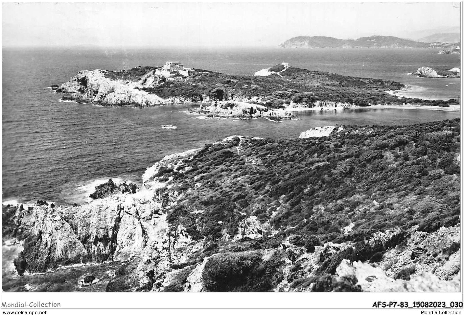 AFSP7-83-0519 - ILE  DE PORQUEROLLES - Le Grand Langoustier  - Porquerolles