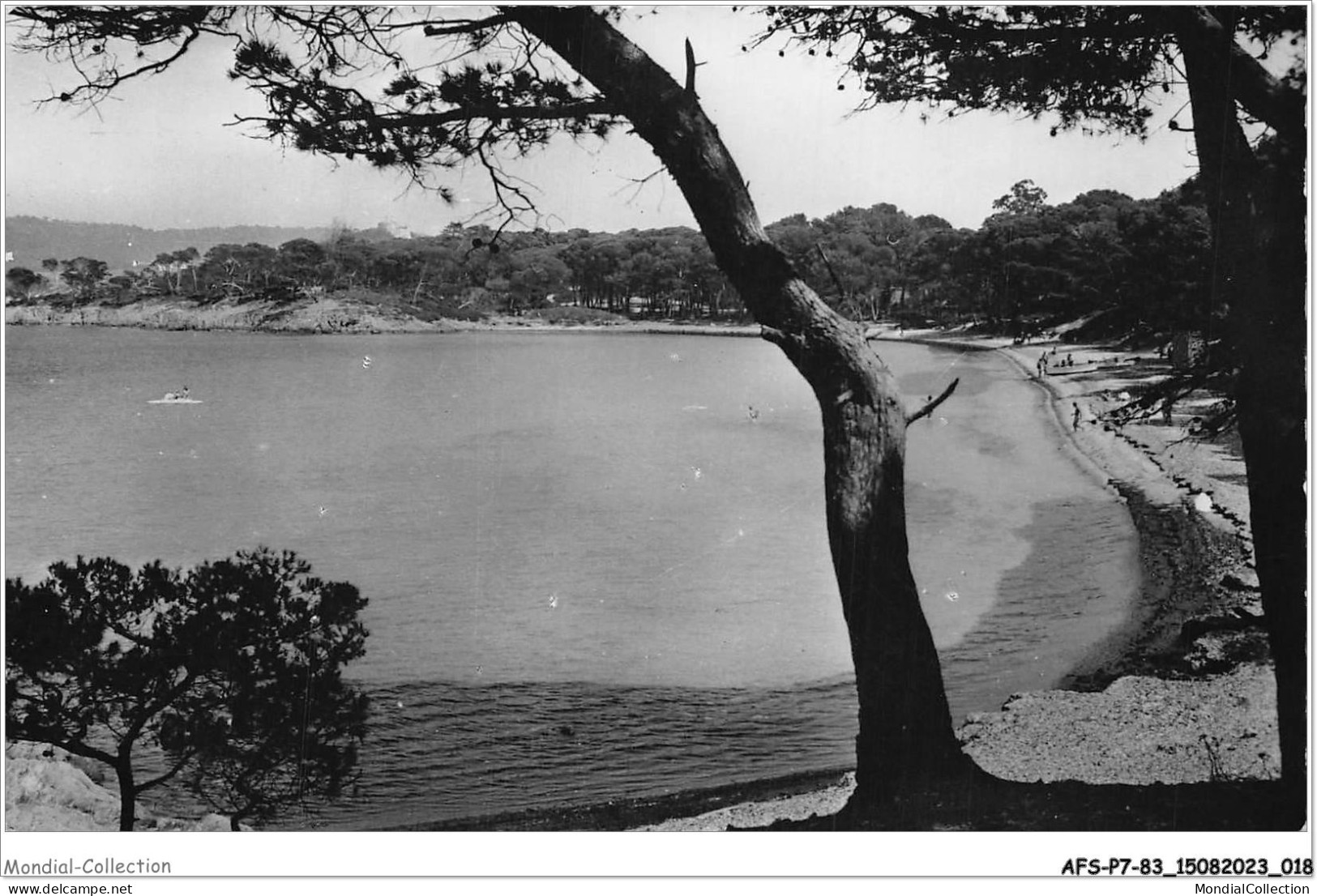 AFSP7-83-0513 - ILE  DE PORQUEROLLES - La Plage D'argent  - Porquerolles