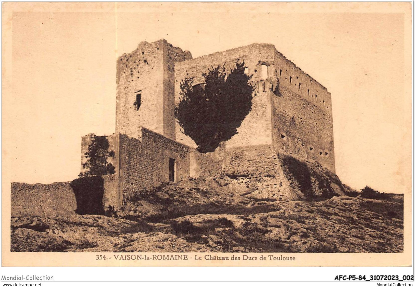 AFCP5-84-0478 - VAISON-LA-ROMAINE - Le Château Des Ducs De Toulouse  - Vaison La Romaine