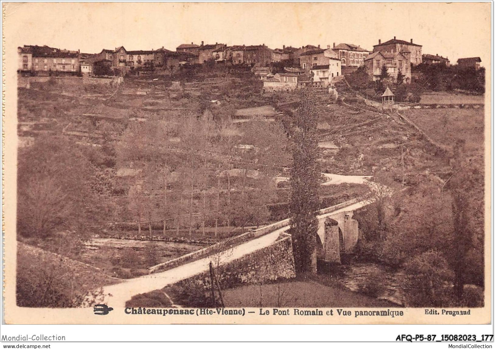 AFQP5-87-0511 - CHATEAUPONSAC - Le Pont Romain Et Vue Panoramique  - Chateauponsac