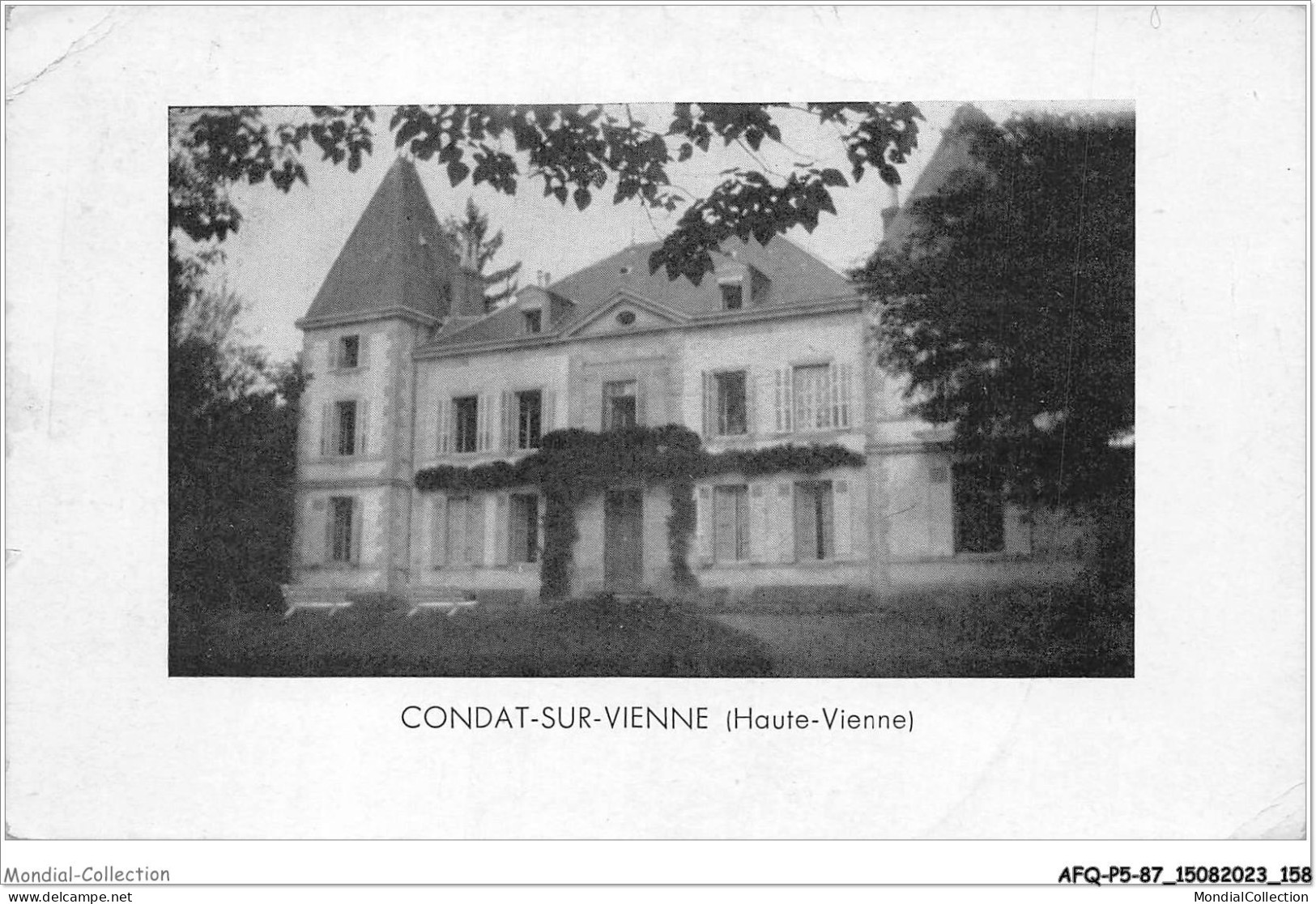 AFQP5-87-0501 - CONDAT-SUR-VIENNE LE CHATEAU - Condat Sur Vienne