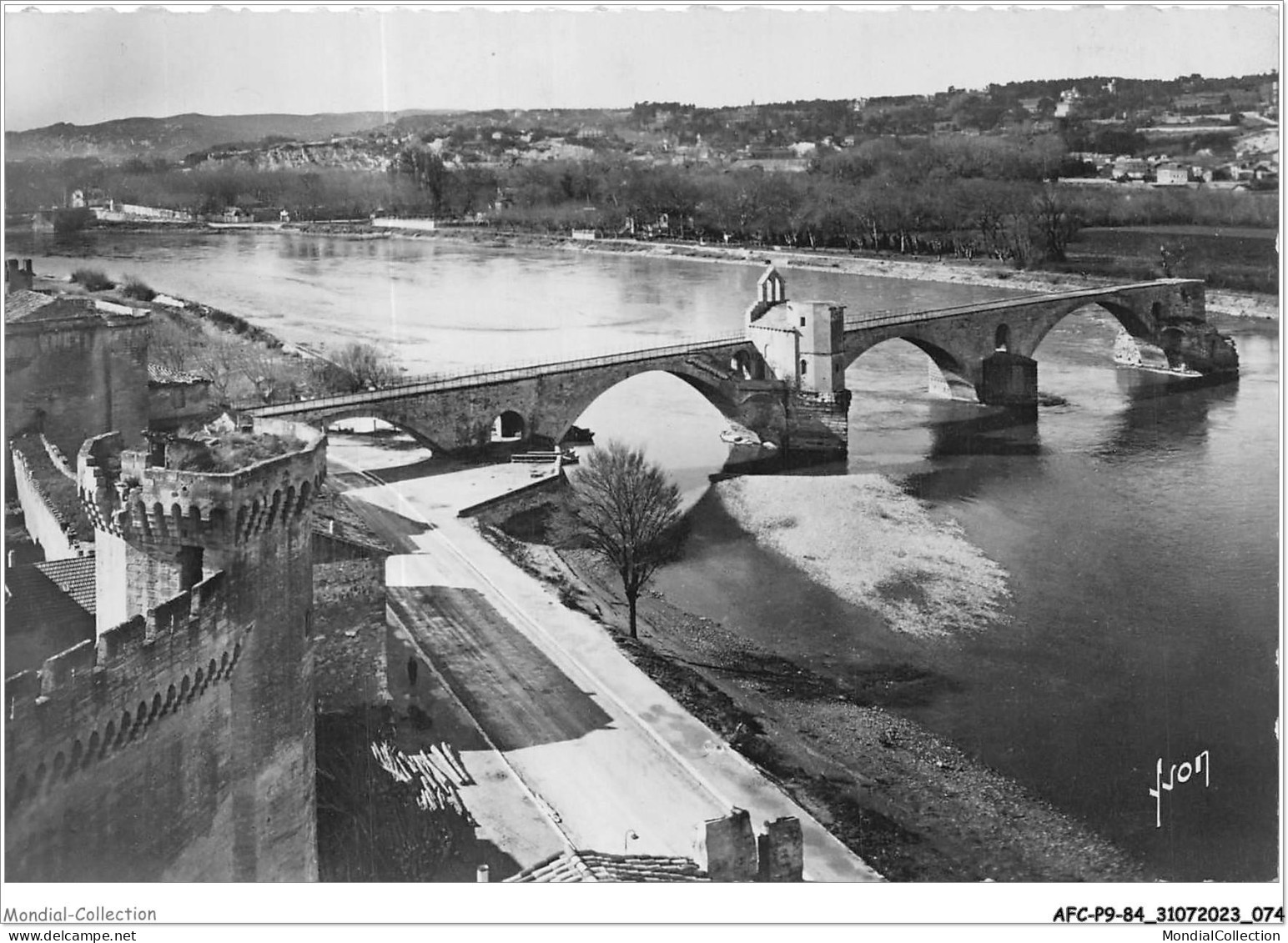 AFCP9-84-0969 - AVIGNON - Le Rhône Et Le Pont St-bénezet - Avignon (Palais & Pont)