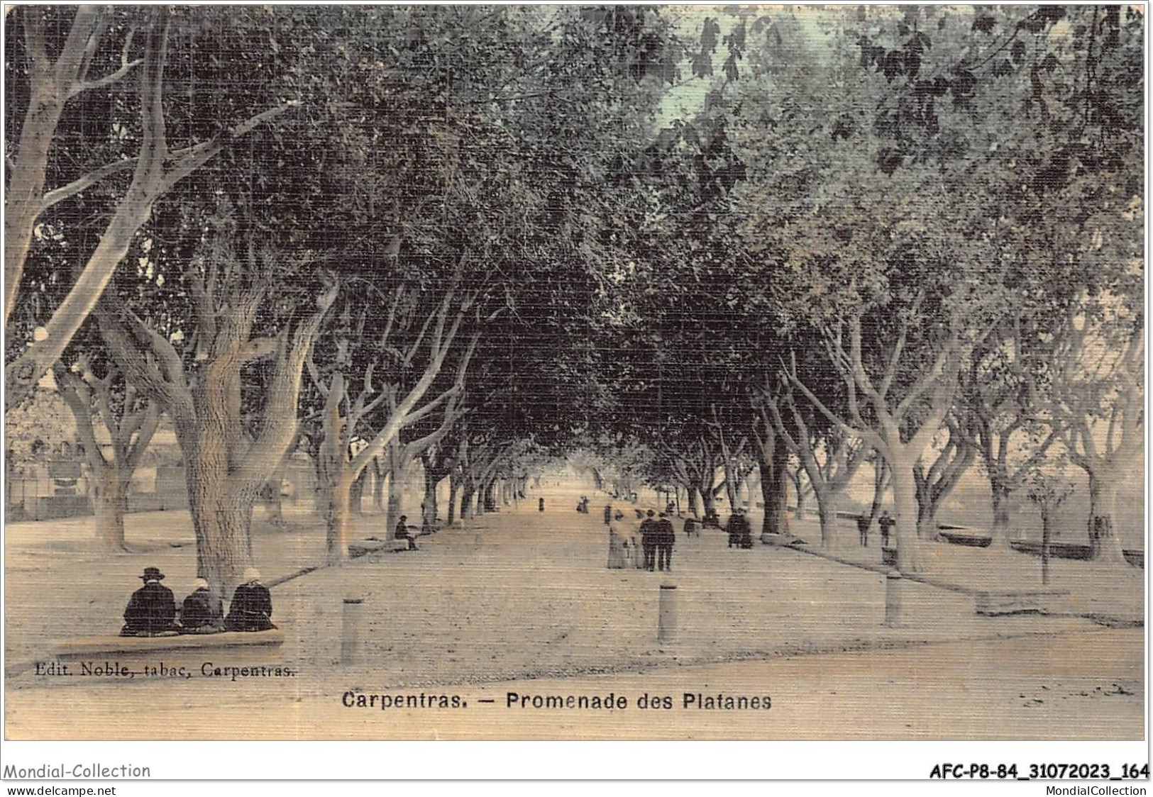 AFCP8-84-0897 - CARPENTRAS - Promenade Des Platanes - Carpentras