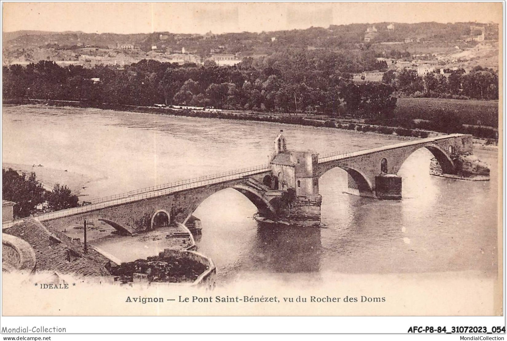 AFCP8-84-0842 - AVIGNON - Le Pont Saint-bénézet - Vu Du Rocher Des Doms - Avignon (Palais & Pont)