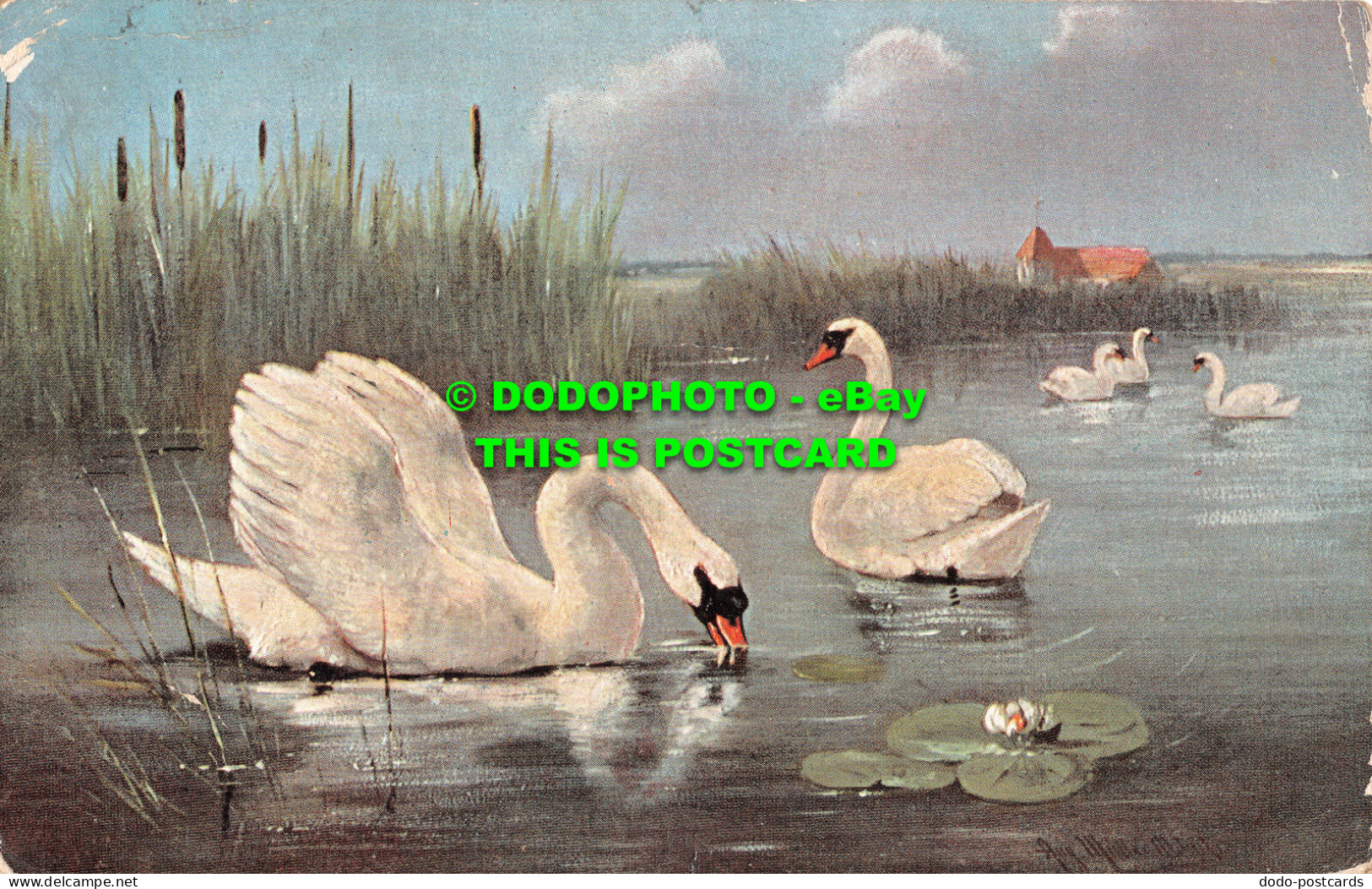 R507455 Swans In The Pond. H. K. C. M. Serie 314. 1908 - World