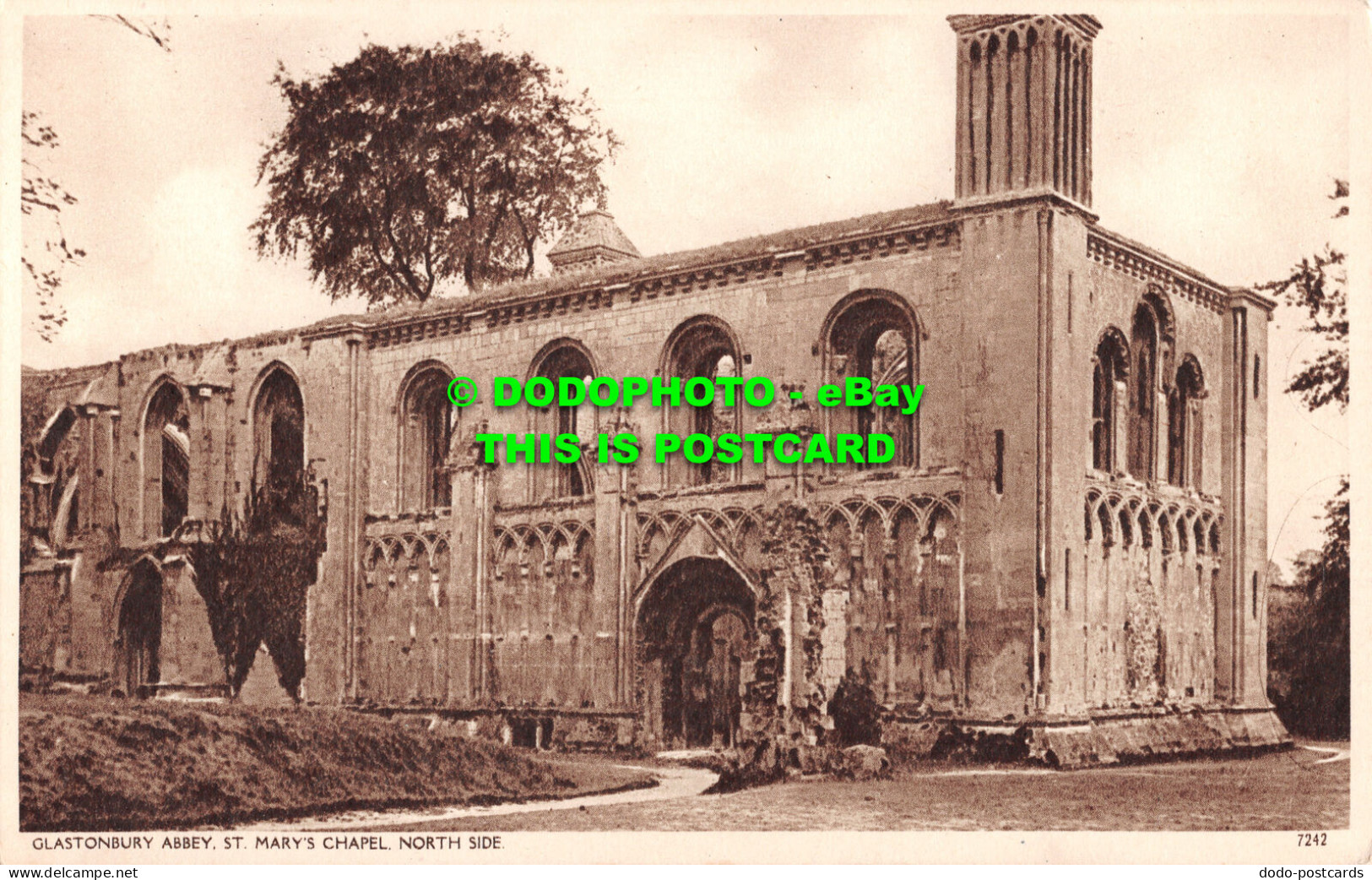 R507092 Glastonbury Abbey. St. Mary Chapel. North Side - World