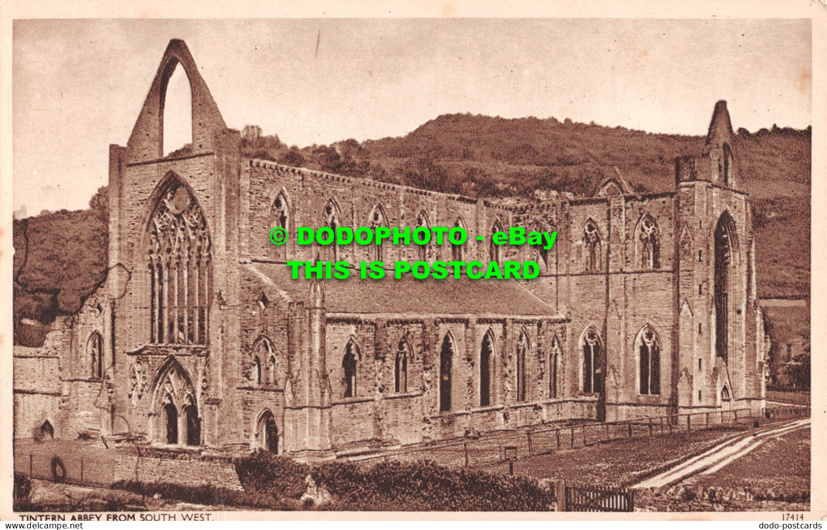 R507093 Tintern Abbey From South West - World