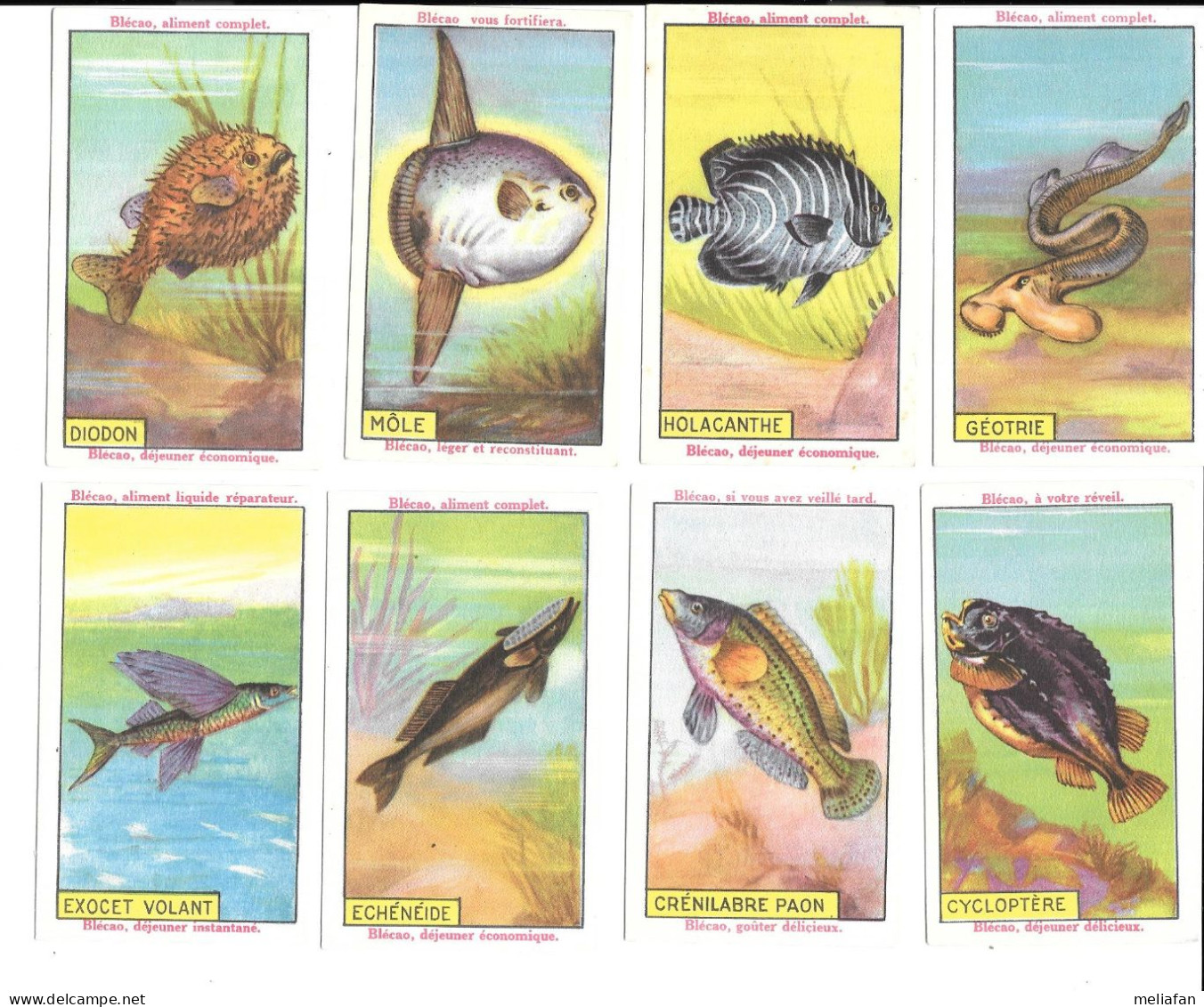 KB2243 - CHROMOS BLEDINE BLECAO - POISSONS - Altri & Non Classificati