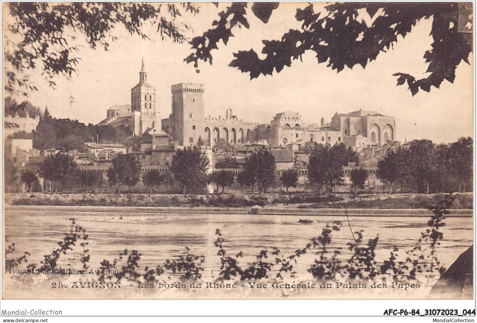 AFCP6-84-0620 - AVIGNON - Les Bords Du Rhône - Vue Générale Du Palais Des Papes   - Avignon (Palais & Pont)