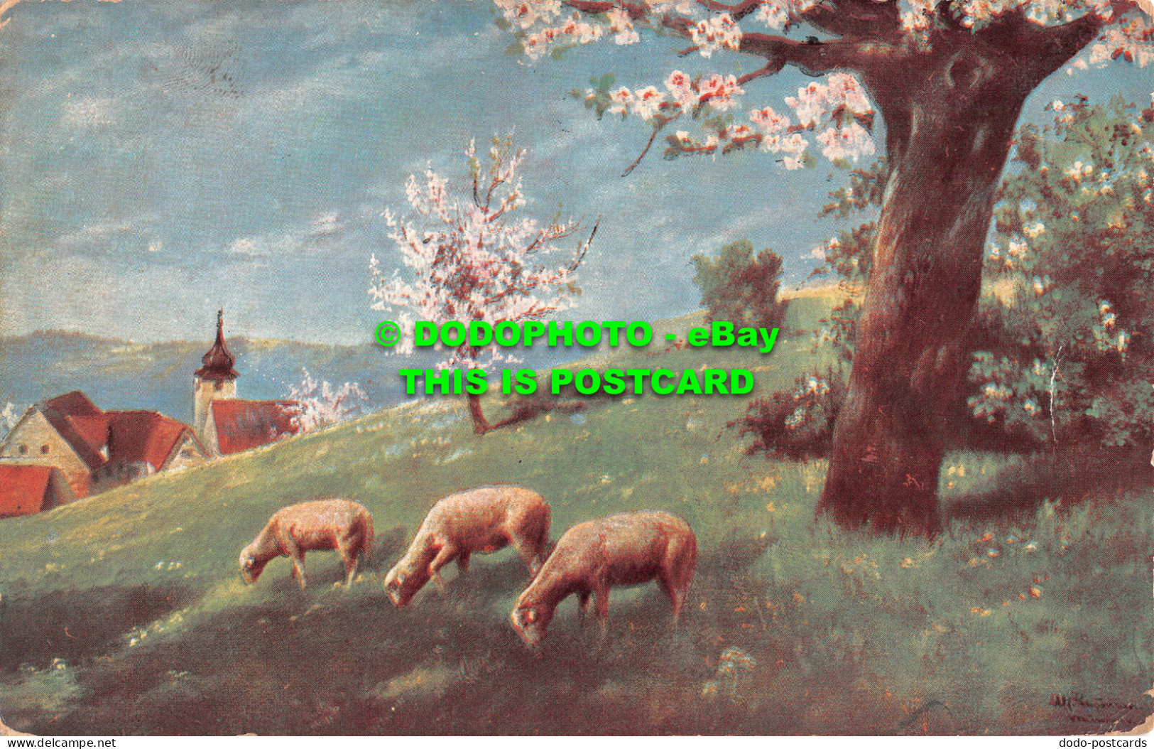 R507709 Sheep In Field. Serie. 264. Postcard - World