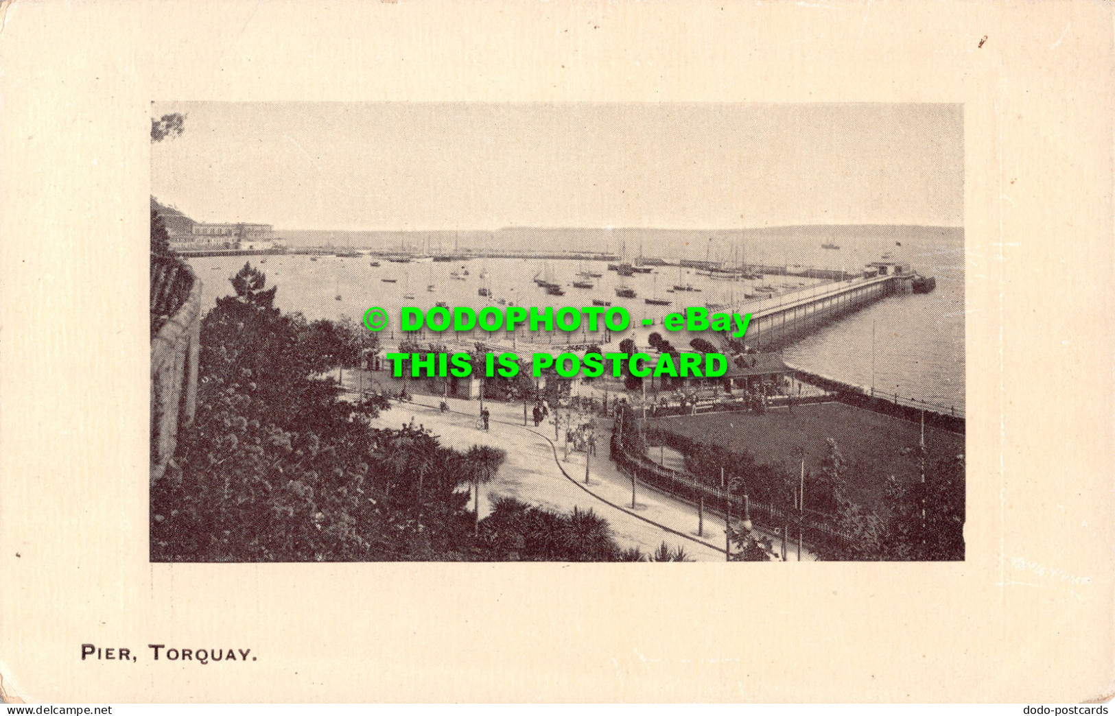 R507095 Torquay. Pier. Postcard - World