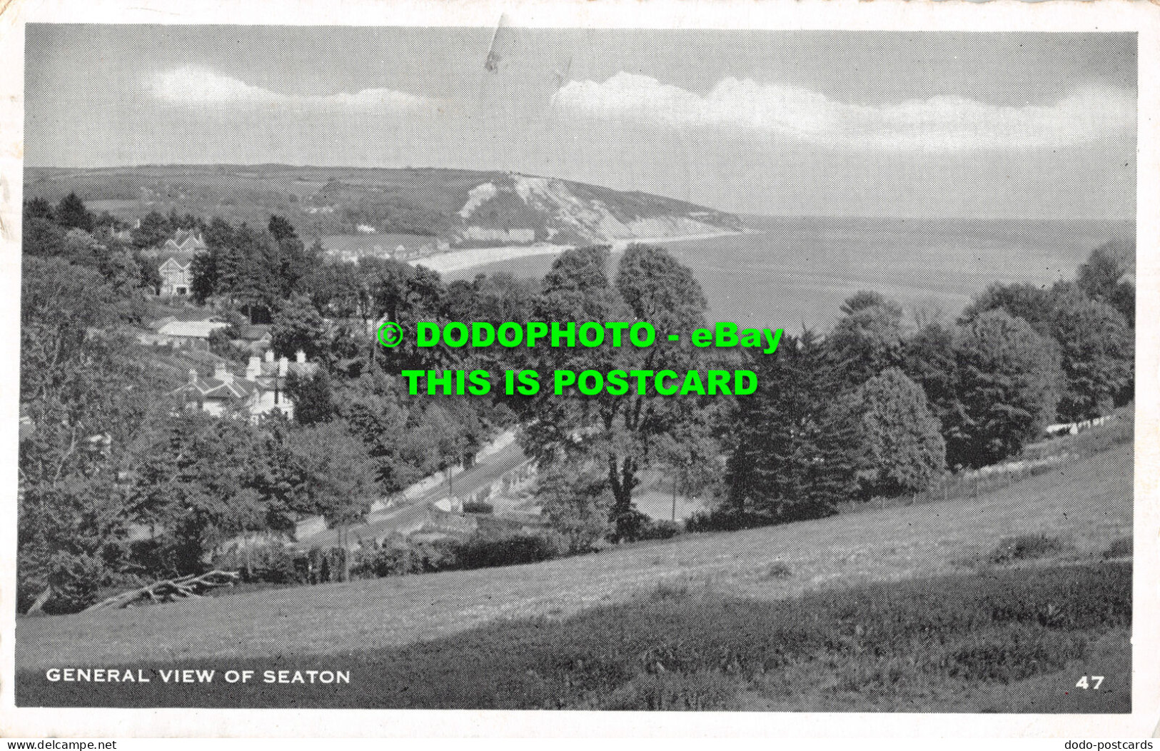 R507099 General View Of Seaton. Postcard. 1961 - World