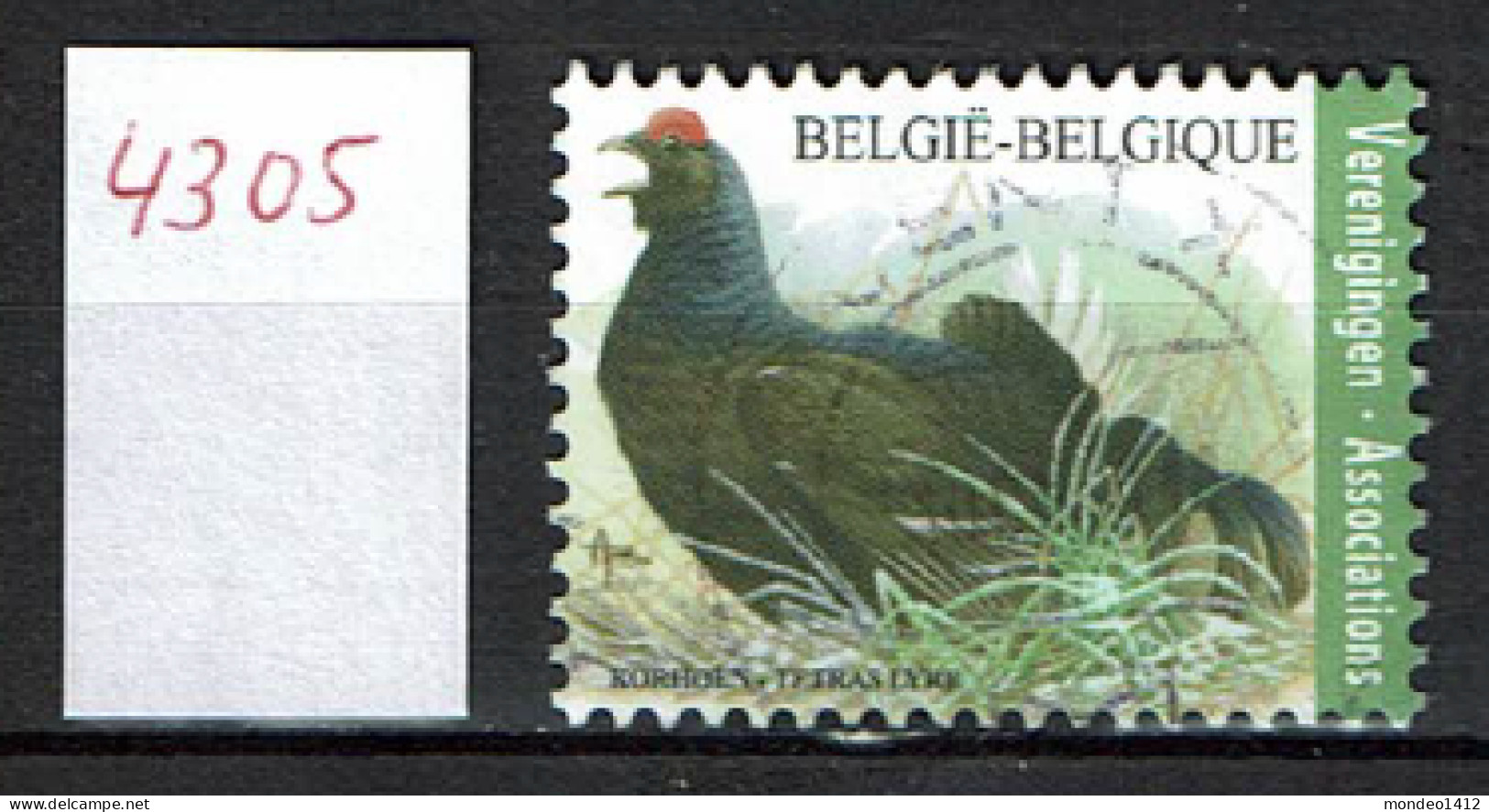 België OBP 4305 - Vogels, Oiseaux, Korhoen, Tetras Lyre - Zegel Voor Verenigingen - Gebruikt