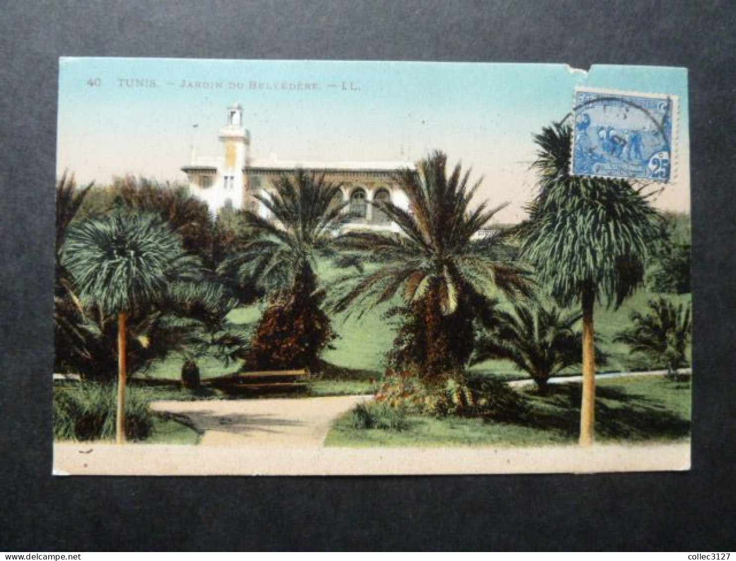 T2 - Tunisie - Tunis - Jardin Du Belvédère - - Túnez