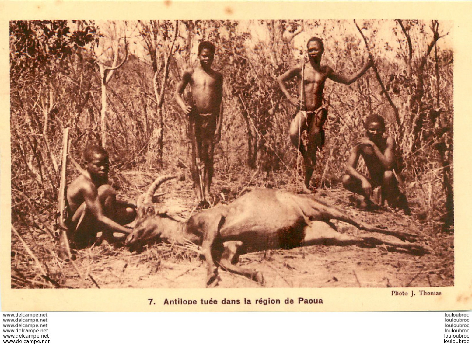 ANTILOPE TUEE DANS LA REGION DE PAOUA - Repubblica Centroafricana